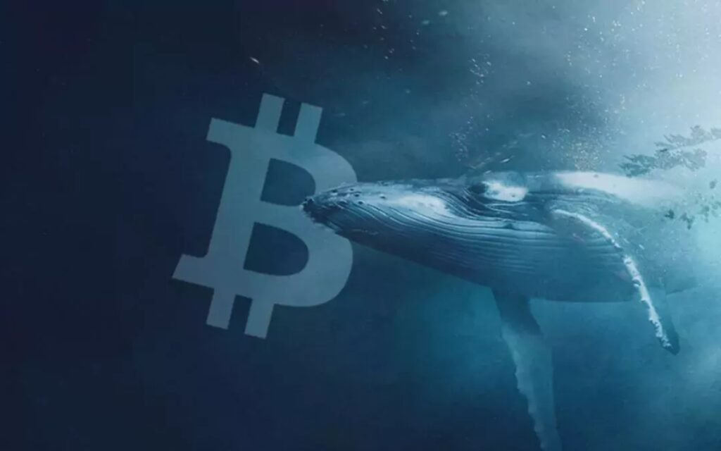 Yıllarca Uyuyan Bitcoin’ler Harekete Geçti: 10 Yıllık Cüzdanlardan Milyonlarca Dolarlık Transfer