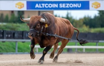 Altcoin Piyasasında Kritik Kırılım: Yeni Sezonun Habercisi mi, Geçici Ralli mi?