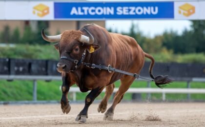 Altcoin Piyasasında Kritik Kırılım: Yeni Sezonun Habercisi mi, Geçici Ralli mi?