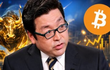 Bitmine CEO’su Tom Lee: Yeni Kripto Boğa Döngüsü Tarihinin En Büyüğü Olabilir